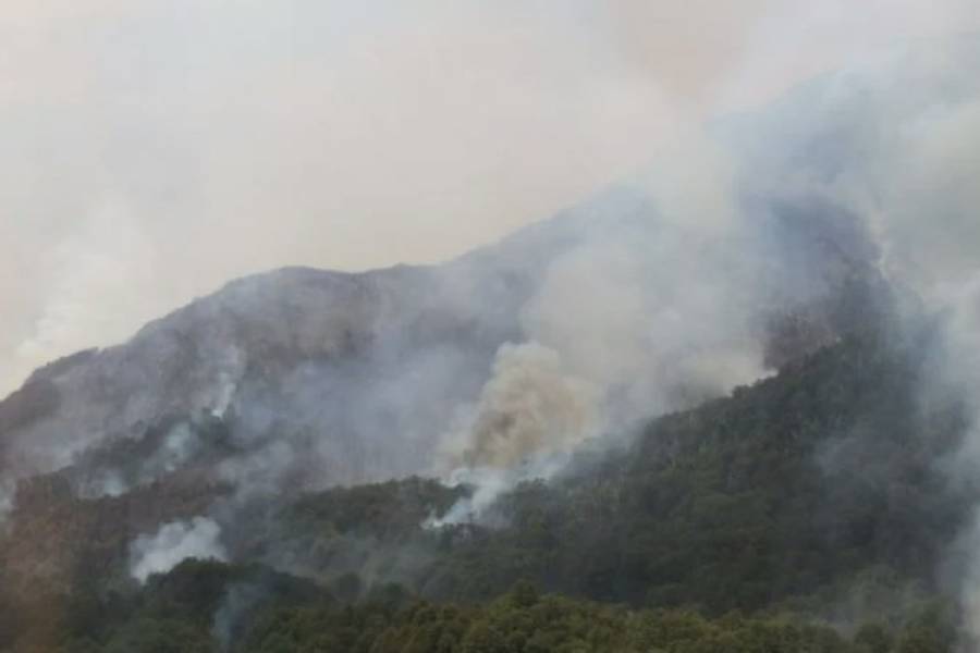 Crecen los incendios en el Nahuel Huapi y surgen denuncias de negligencia