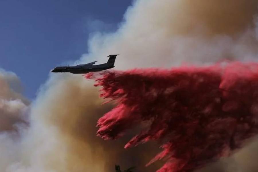 Ya son 24 los muertos por los incendios forestales de Los Ángeles