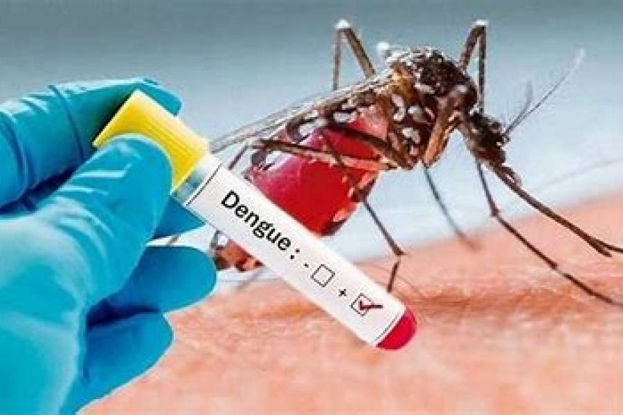 Dengue: Activan Protocolo de Emergencia por un caso Positivo