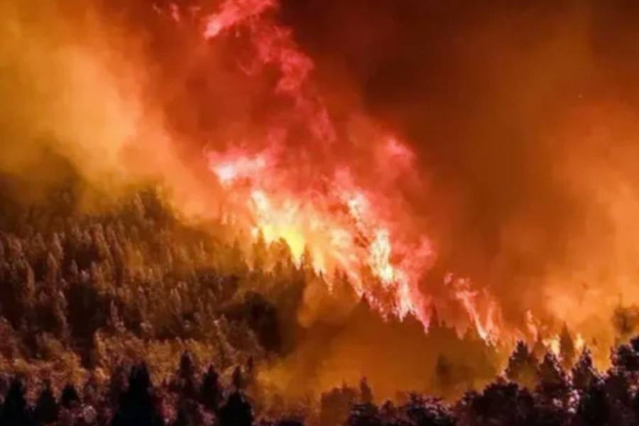 Con 7.000 hectáreas consumidas por el fuego, el Parque Nahuel Huapi continúa con incendios