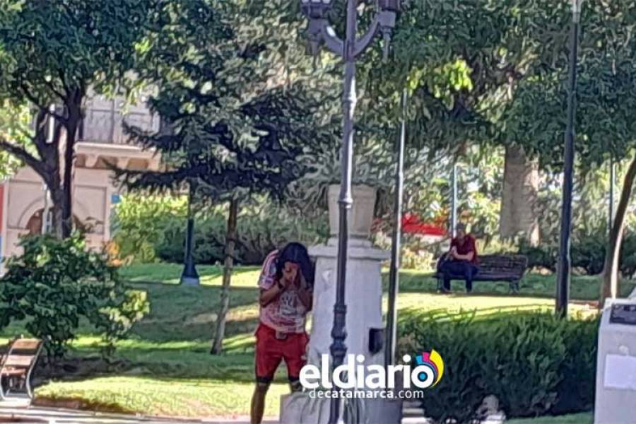 Ola de Calor: Alerta Naranja por temperaturas extremas