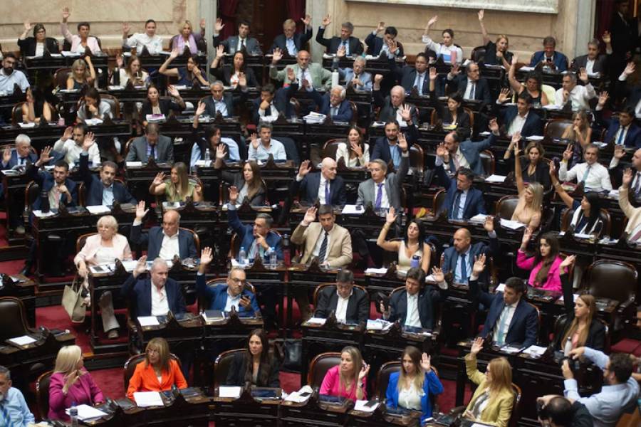 Uno por uno: así votaron los diputados la suspensión de las PASO