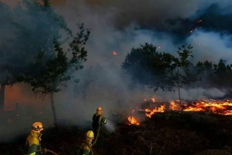 Incendios en El Bolsón: el emocionante llanto de los vecinos por la lluvia