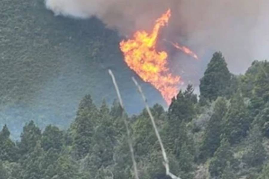 Un hombre admitió haber originado el incendio forestal en el cerro Meta