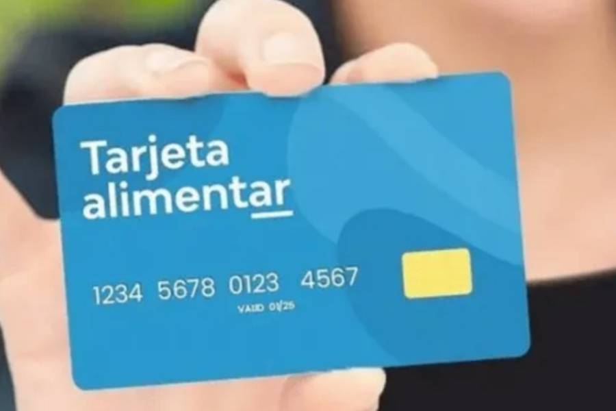 ANSES: el aumento que tendrá la Tarjeta Alimentar en abril 2025