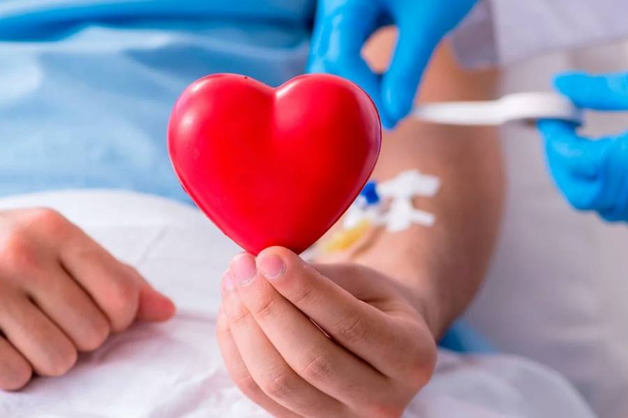 Crece el número de donantes de médula ósea en Argentina