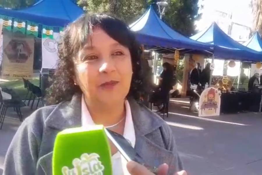 Día Mundial de las Abejas: Campaña para promover el consumo de miel