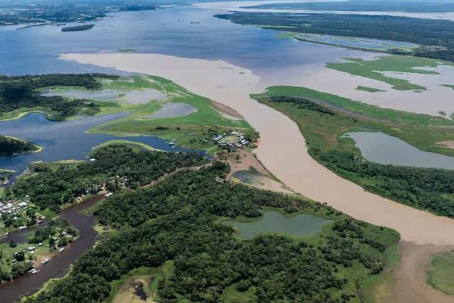 Aumentó la deforestación en la Amazonia durante el mes de mayo