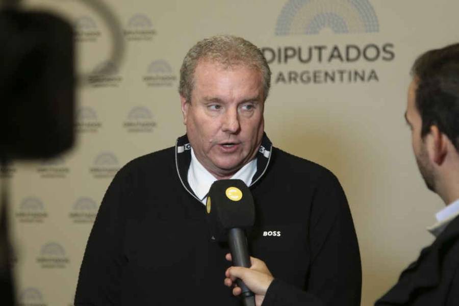 Con Alperovich en la mira, Milman insiste en cambiar a 75 años la edad mínima para la domiciliaria