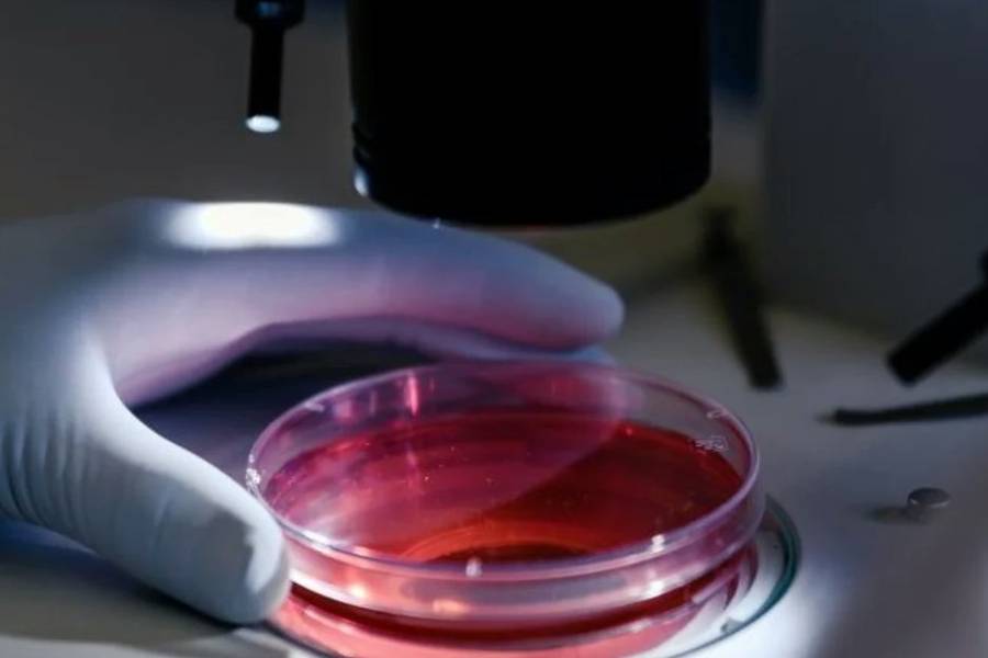 Es posible detectar el riesgo de leucemia con un examen de sangre