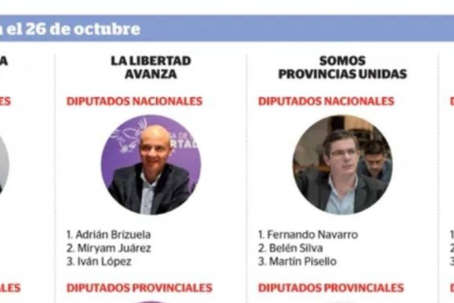 Fernando Monguillot, Fernando Navarro, Fernando Baigorri y Adrián Brizuela  disputarán una banca de diputado en el Congreso