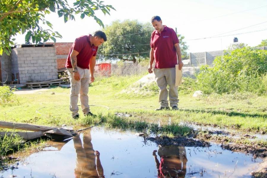 Dengue: Control focal semanal