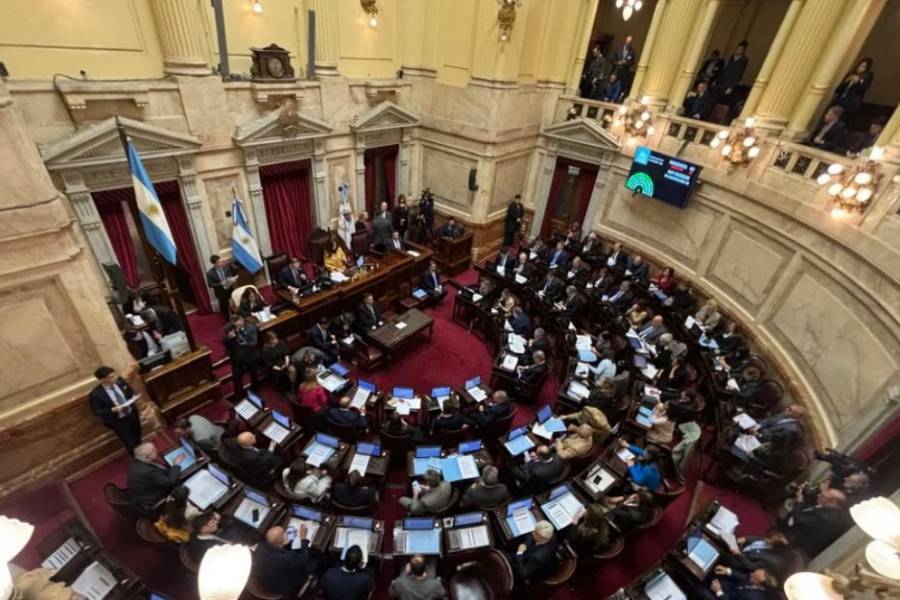 El Senado busca convertir en ley el financiamiento universitario y la emergencia en pediatría