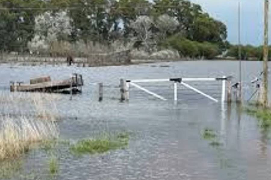 Declaran la emergencia agropecuaria en Buenos Aires y San Juan