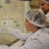 Avanza en Argentina una innovadora terapia para regenerar huesos a partir de células del cordón umbilical