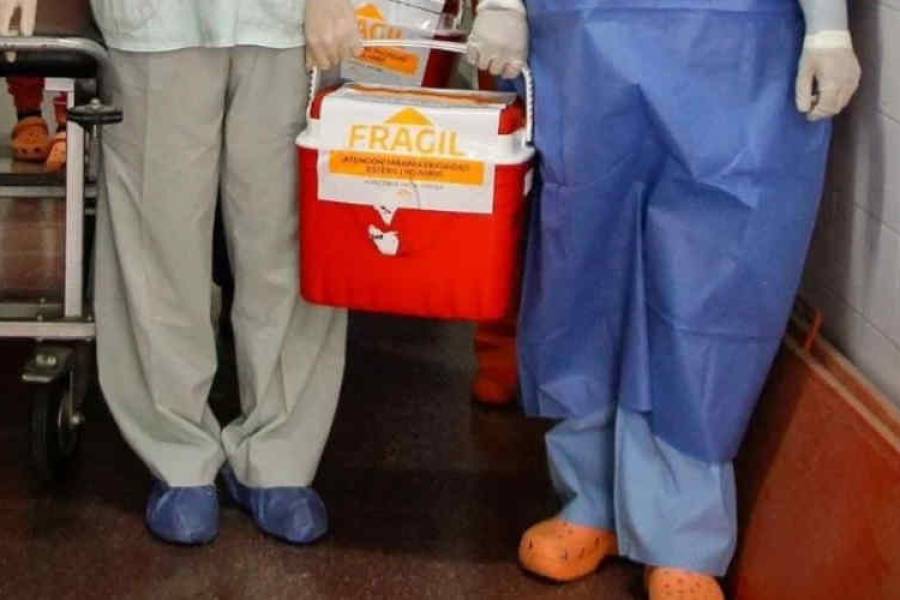 Solidaridad que salva vidas: Nuevas ablaciones de córneas en el Hospital San Juan Bautista