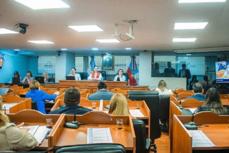 Media sanción al boleto gratuito para mayores de 65 años en Catamarca