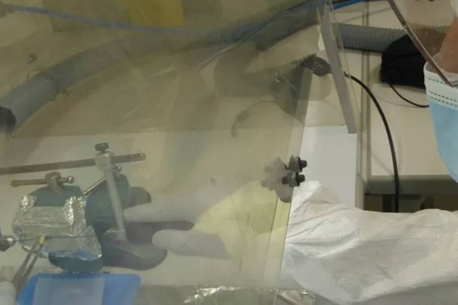 Científicos del CONICET descubrieron un linaje genético propio de Argentina