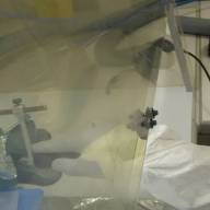 Científicos del CONICET descubrieron un linaje genético propio de Argentina