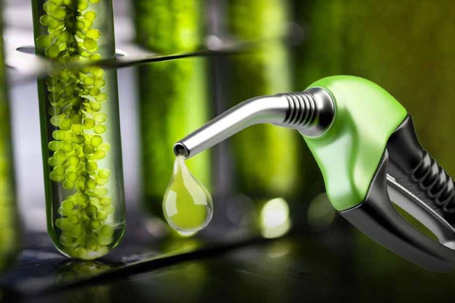 El Gobierno oficializó los nuevos precios de los biocombustibles