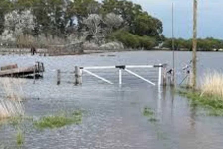 Inundaciones en PBA: casi 6 millones de hectáreas se vieron afectadas y se perderían US$2.000 millones