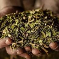 El Gobierno liberó el precio de la yerba mate y desregula la actividad