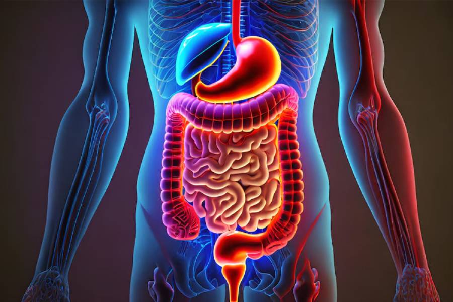 Cinco simples cambios en la alimentación que pueden transformar la salud intestinal, según especialistas
