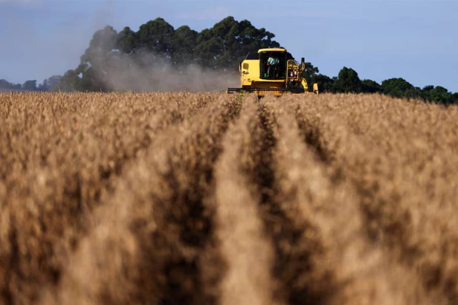La Argentina firmó un acuerdo de cooperación aduanera con EEUU: en qué consiste y por qué es importante para el agro