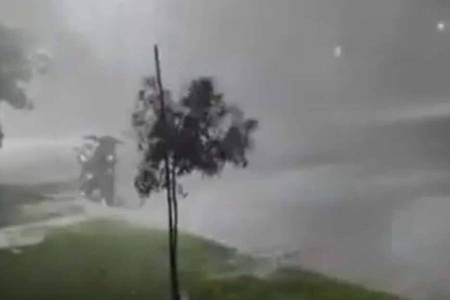 Brutal tormenta y granizo en Tucumán arrasó con techos y árboles: los fuertes videos del temporal