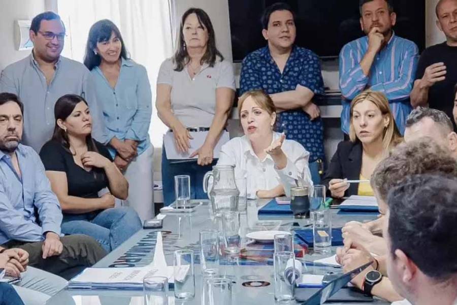 Avanza en la Legislatura el tratamiento de proyectos YMAD y fideicomiso litífero