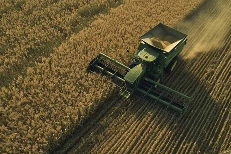 El campo le da una mano a Luis Caputo: le aportará más dólares por exportaciones récord de trigo