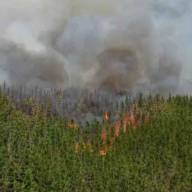Incendio forestal en zona turística de Chubut arrasó con viviendas y vehículos