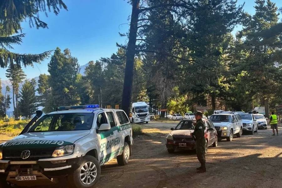 Piden declarar en emergencia la zona patagónica afectada por incendios forestales
