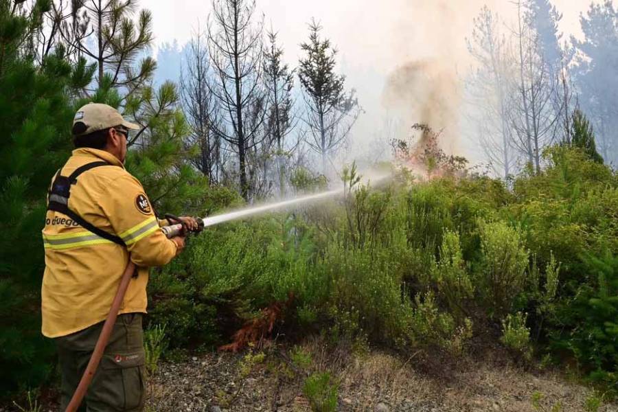 “El incendio en Puerto Patriada está contenido en un 85 por ciento”, dijo el gobernador Torres