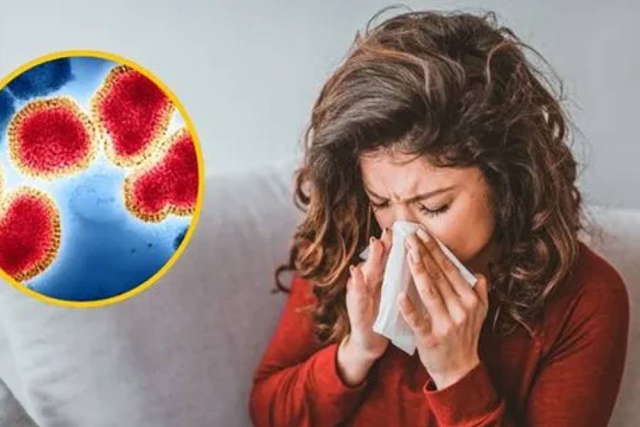 Confirman tres casos de gripe H3N2 en Catamarca y piden reforzar los cuidados