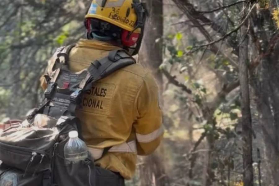 Incendios forestales en Chubut: preocupación por nuevos focos activos