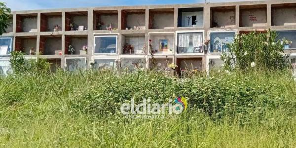 Quejas por la maleza en el cementerio capitalino
