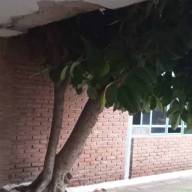 Padres tomaron una escuela en protesta por las condiciones edilicias 