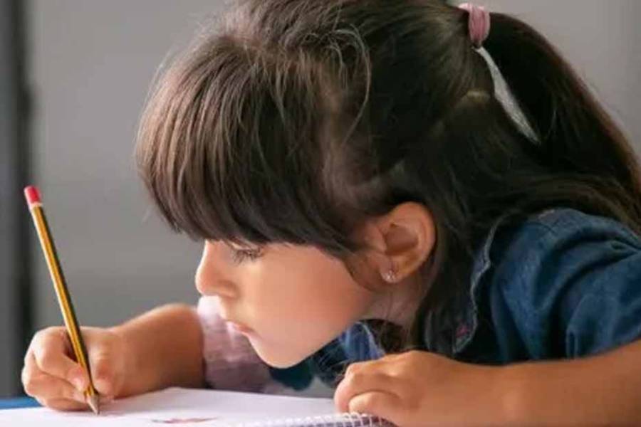 El Gobierno dispuso el pago de un refuerzo extraordinario de la Ayuda Escolar Anual