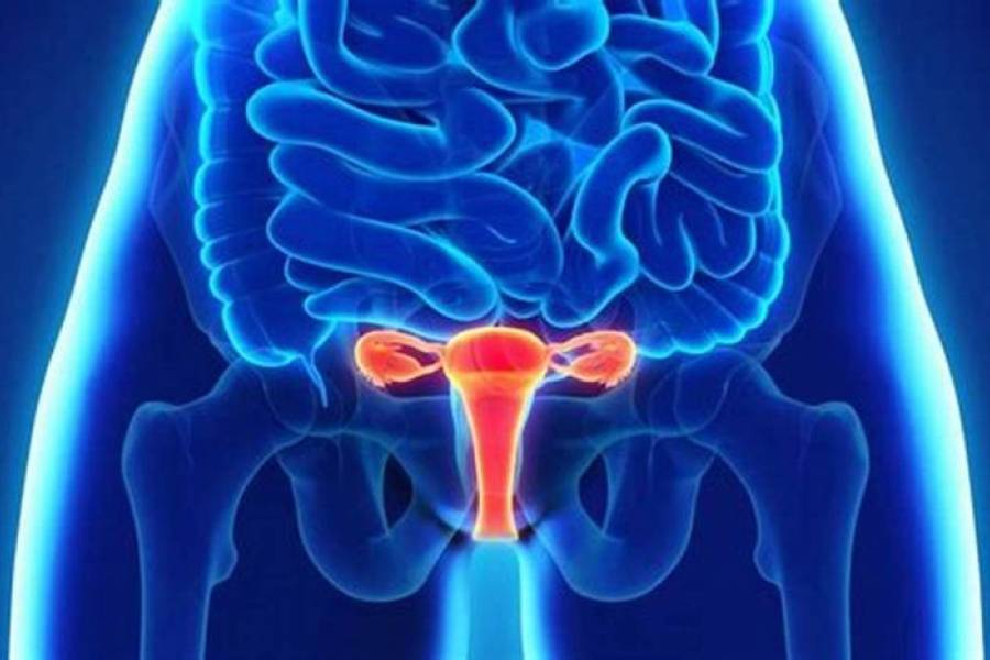 Día Mundial de la Endometriosis: no naturalizar el dolor también es cuidar la fertilidad
