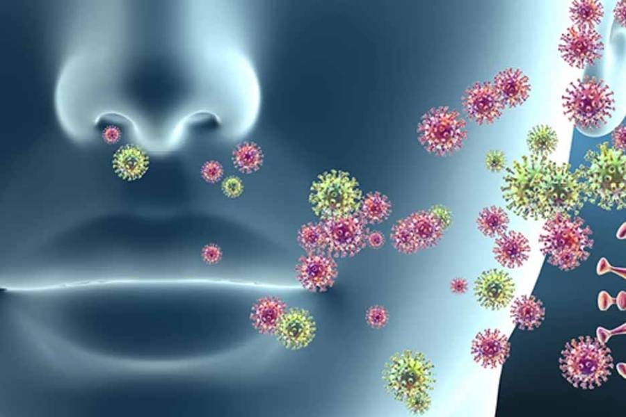 Dengue y virus respiratorios: refuerzan la vigilancia ante un escenario sanitario dinámico