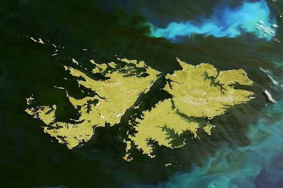 Milei dispuso que se realice un acto de distinción a Veteranos de Malvinas