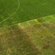 El césped del Monumental en su peor momento de cara al Superclásico ante Boca