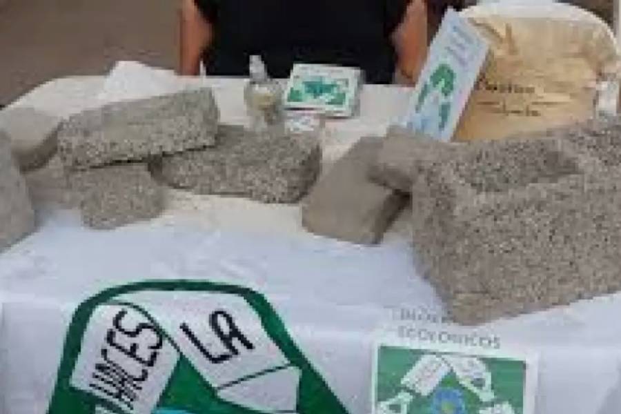 Cooperativa de trabajo fue víctima de robo y peligra su funcionamiento