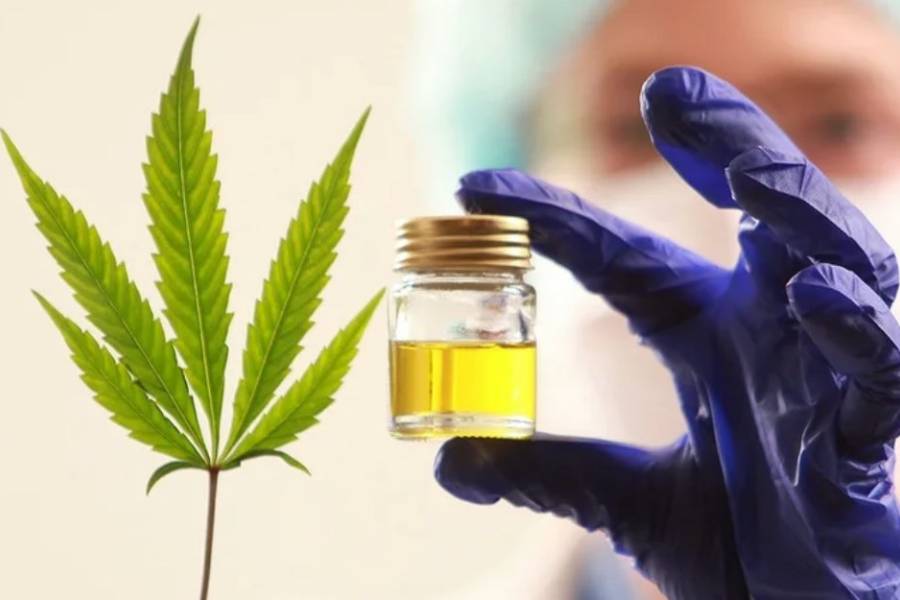 Investigadores chinos desarrollan una molécula a partir de cannabis medicinal