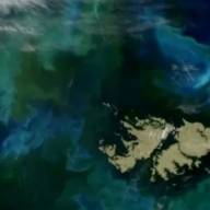 Reuters filtró un informe que asegura que Donald Trump retiraría su apoyo al Reino Unido por las Islas Malvinas