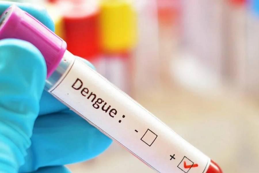 Detectaron nuevos casos de dengue y chikungunya en Catamarca