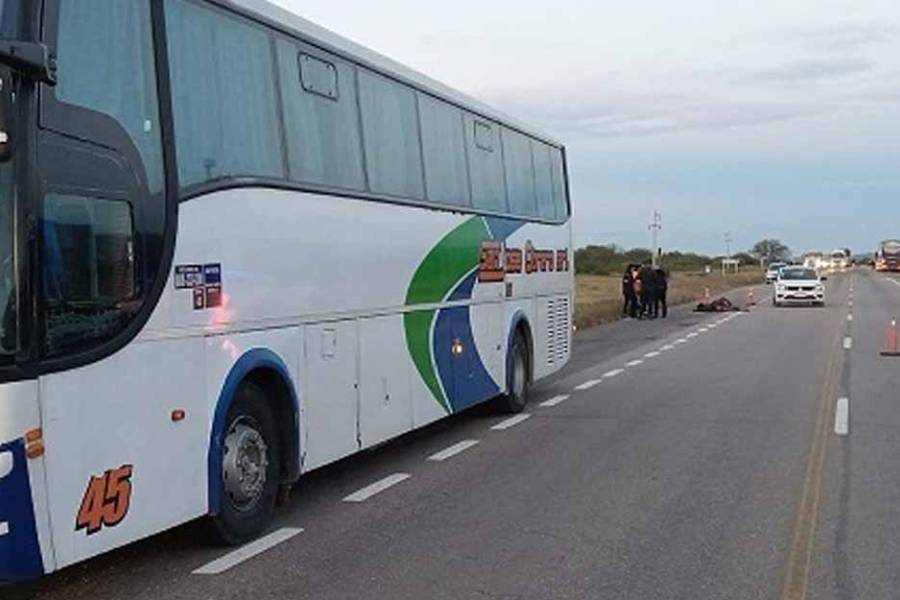 Pudo ser una tragedia: Colectivo chocó con un animal suelto en la ruta