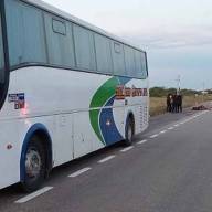 Pudo ser una tragedia: Colectivo chocó con un animal suelto en la ruta