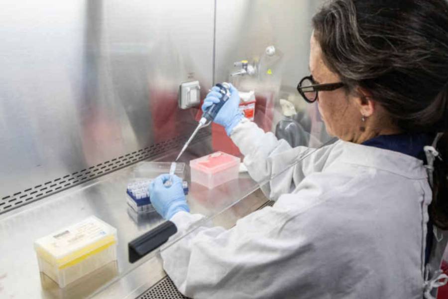 Hantavirus: Argentina asiste a países europeos con insumos